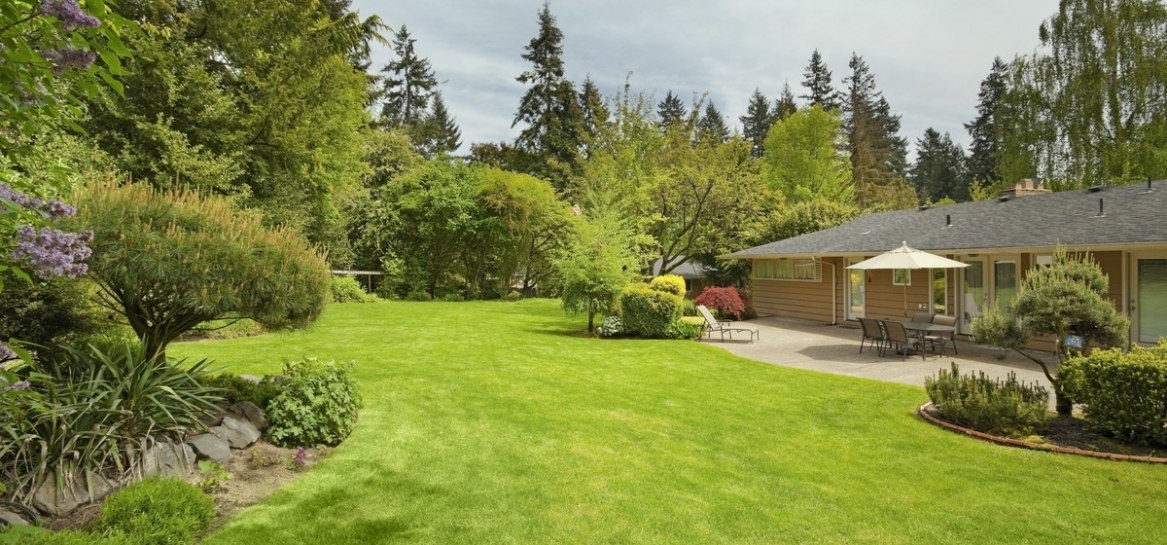 Zakładanie trawnika od podstaw – dlaczego warto zaufać profesjonalistom