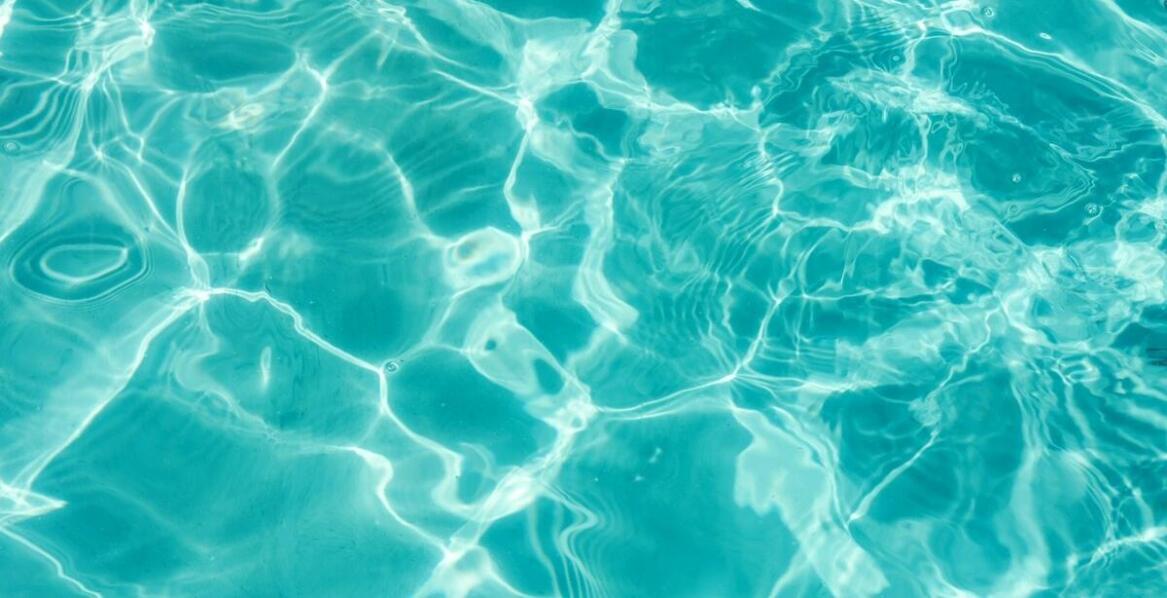 Dlaczego hydroterapia w psi hotel dolnośląskie jest korzystna dla Twojego pupila?