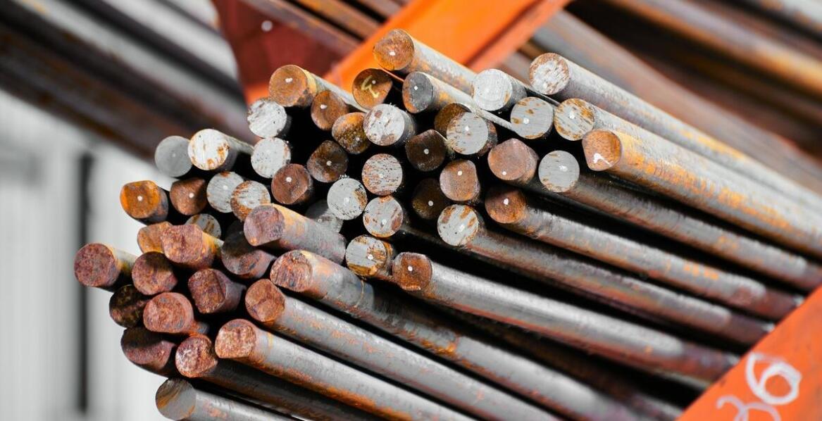 Jakie fugi najlepiej sprawdzą się w klimacie umiarkowanym?