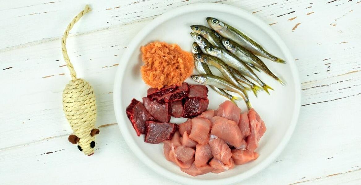 Rola systemu HACCP w zapewnieniu bezpieczeństwa produktów BARF