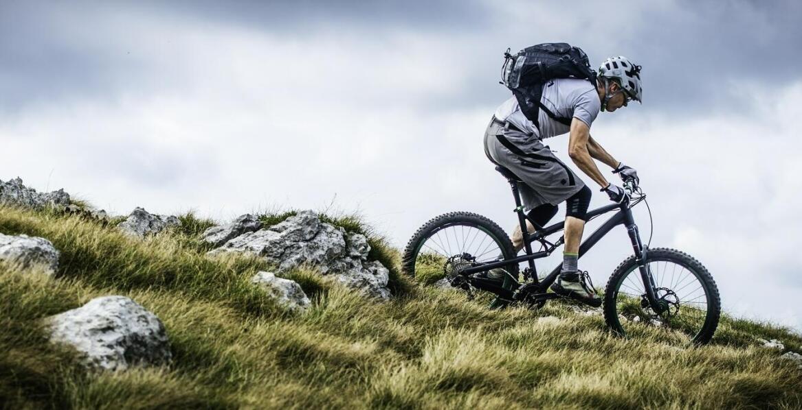 Co sprawia, że Cannondale Lefty 29 jest liderem wśród rowerów górskich?