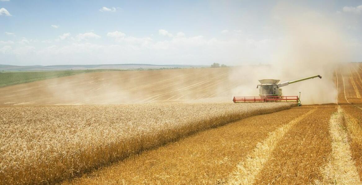 Wpływ innowacji na rozwój narzędzi rolniczych