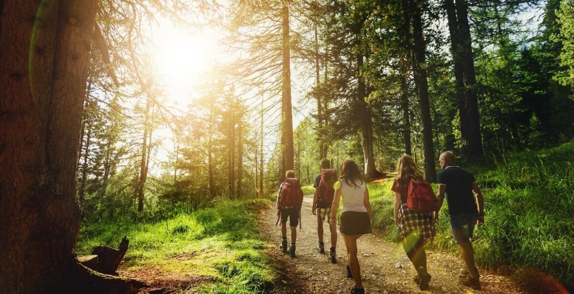 Pole namiotowe z dostępem do łazienek i kuchni – Komfort pod chmurką