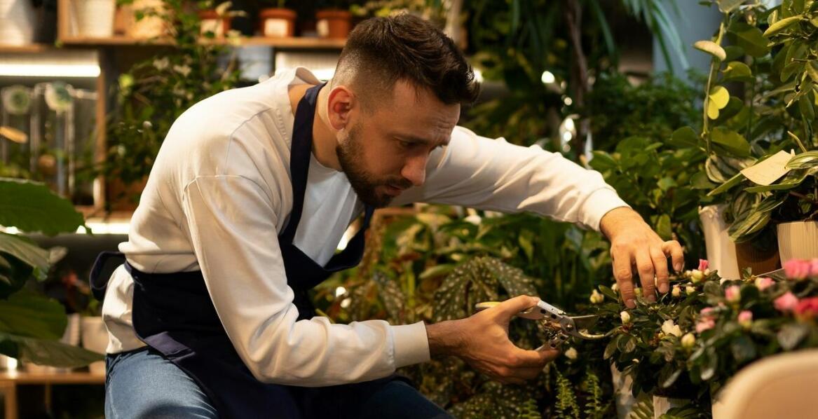 Jakie techniki przycinania sprzyjają zdrowemu wzrostowi stokrotki bellis?