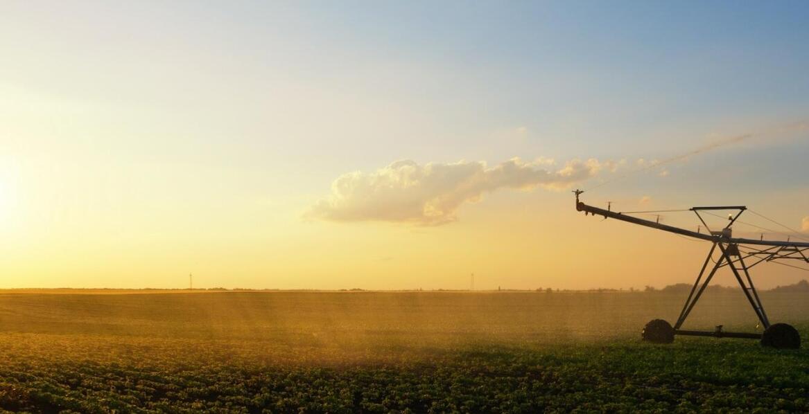 Jakie są główne wyzwania w utrzymaniu systemów nawadniających w dobrym stanie?