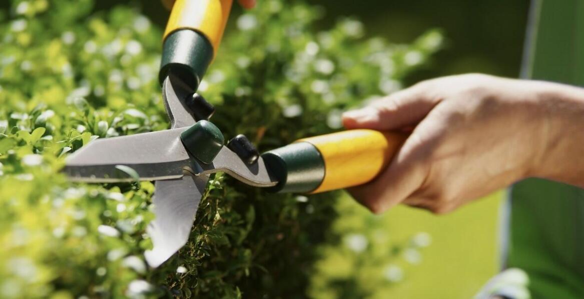 Dmuchawy plecakowe – komfort i wygoda użytkowania