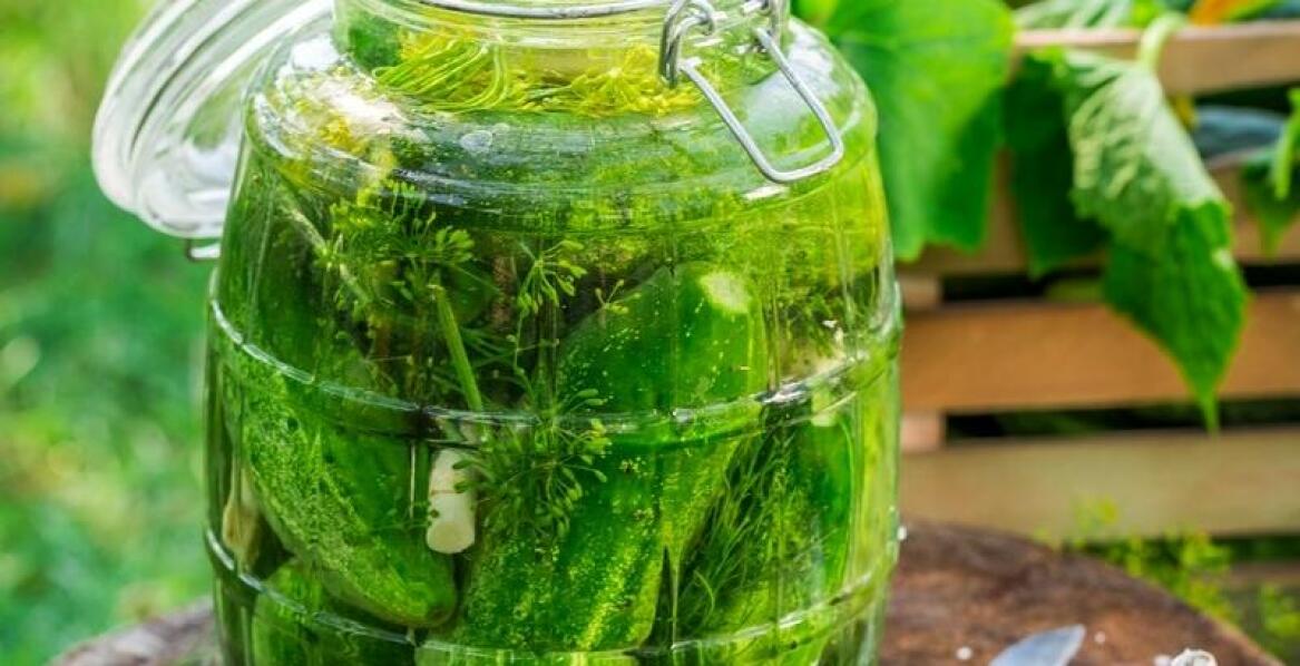 Jakie czynniki wpływają na wybór odpowiedniego wycinaka do kiszonek?