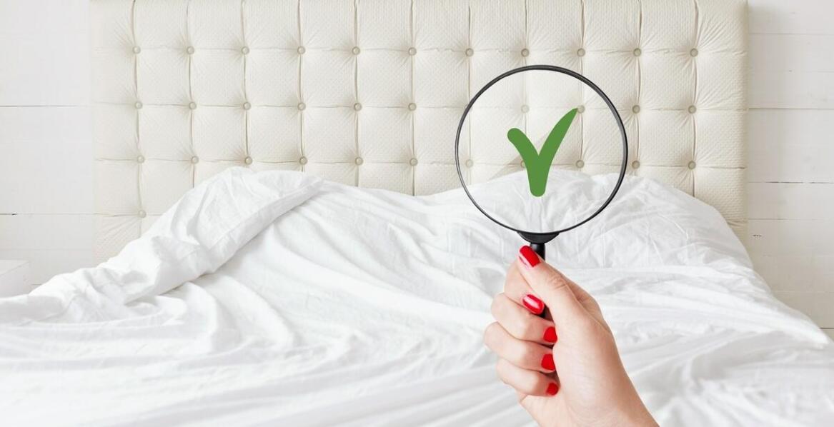 Jak art 682 kc reguluje odpowiedzialność wynajmującego za pluskwy w wynajmowanym lokalu?