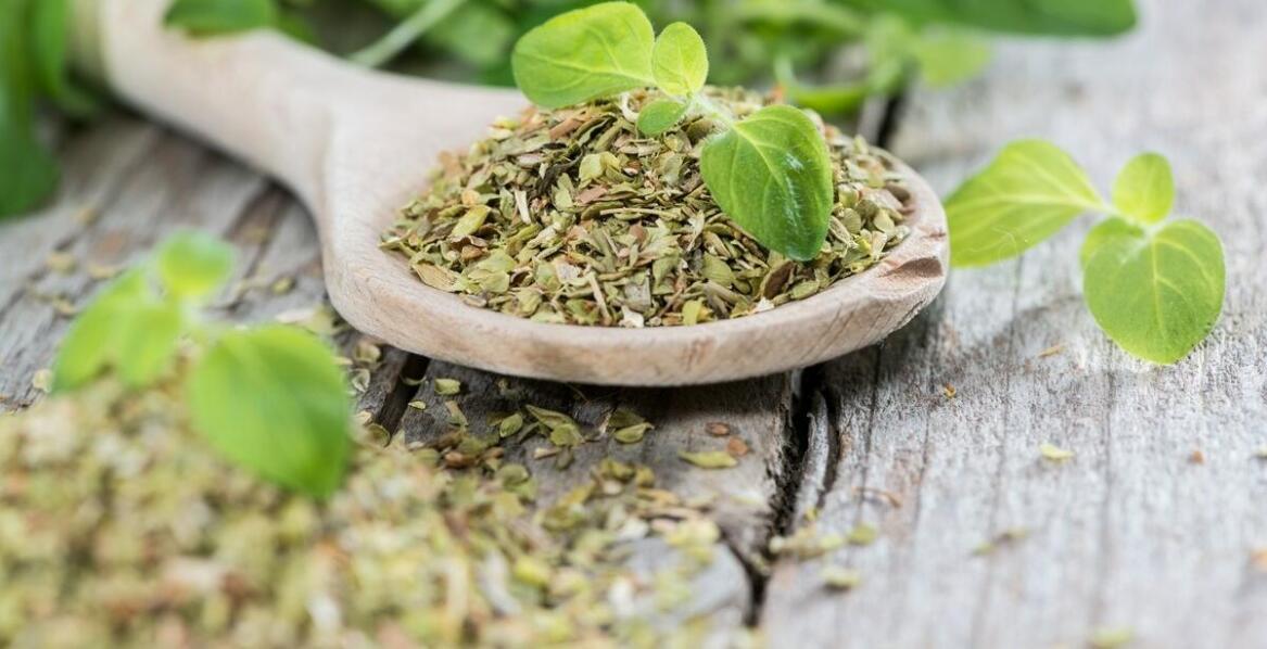 Jak rozpoznać objawy uzależnienia od yerba mate?