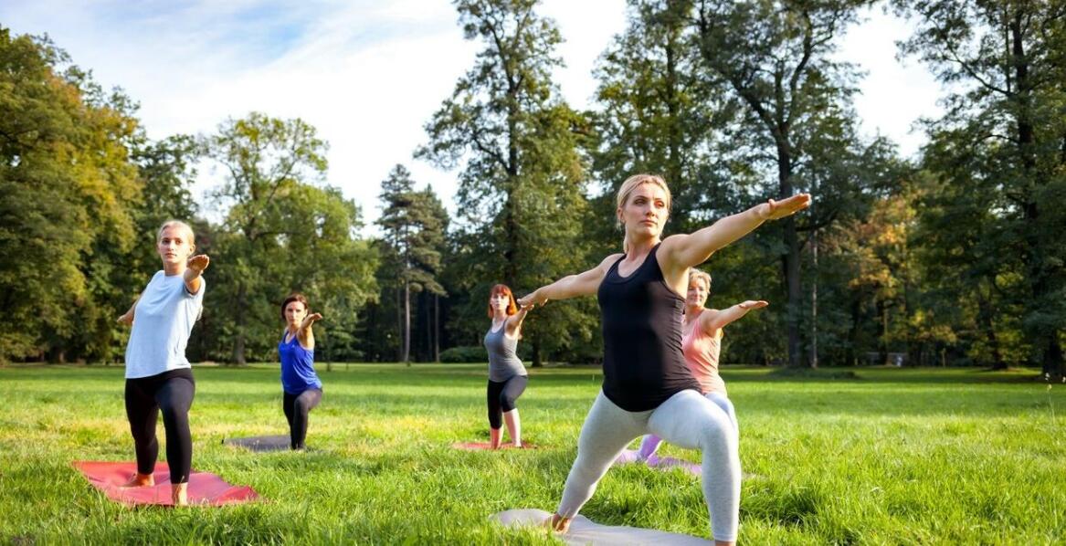 Jakie są różnice między podstawowym a zaawansowanym szkoleniem psów obronnych?