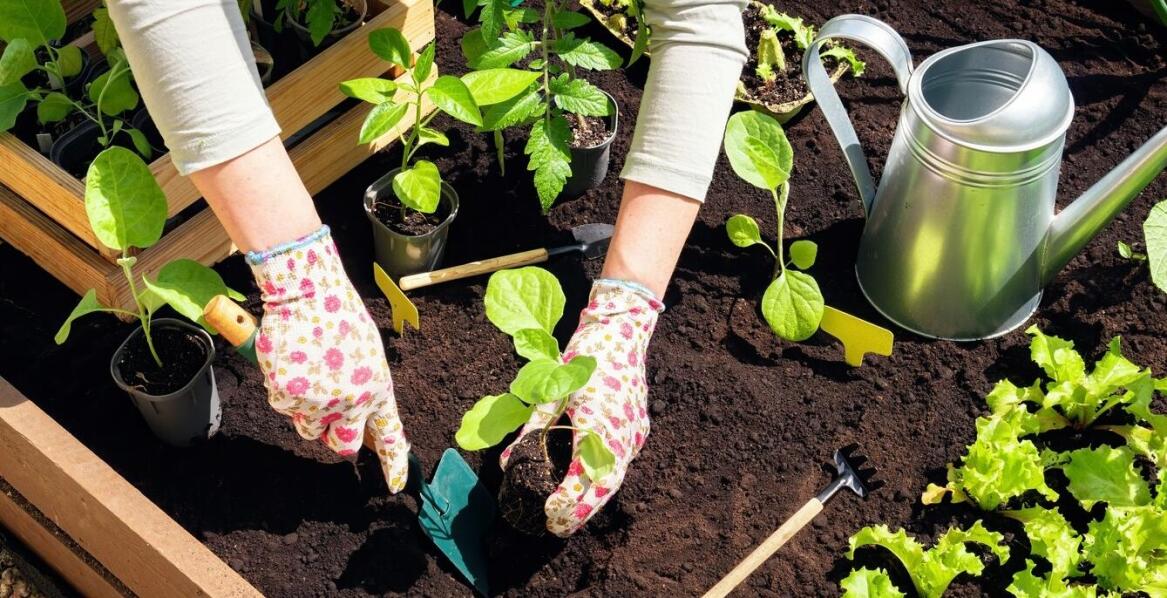 Poradnik: Montaż i ustawienie kokonu ogrodowego w Twoim ogrodzie