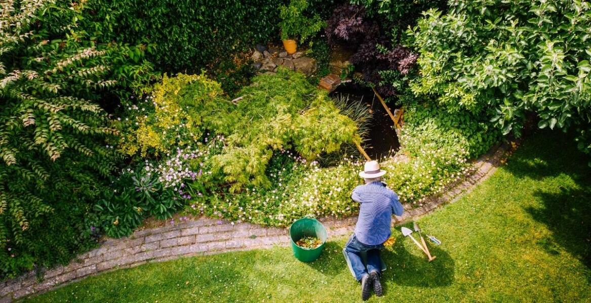Profesjonalne usługi przycinania roślin – dlaczego warto skorzystać?