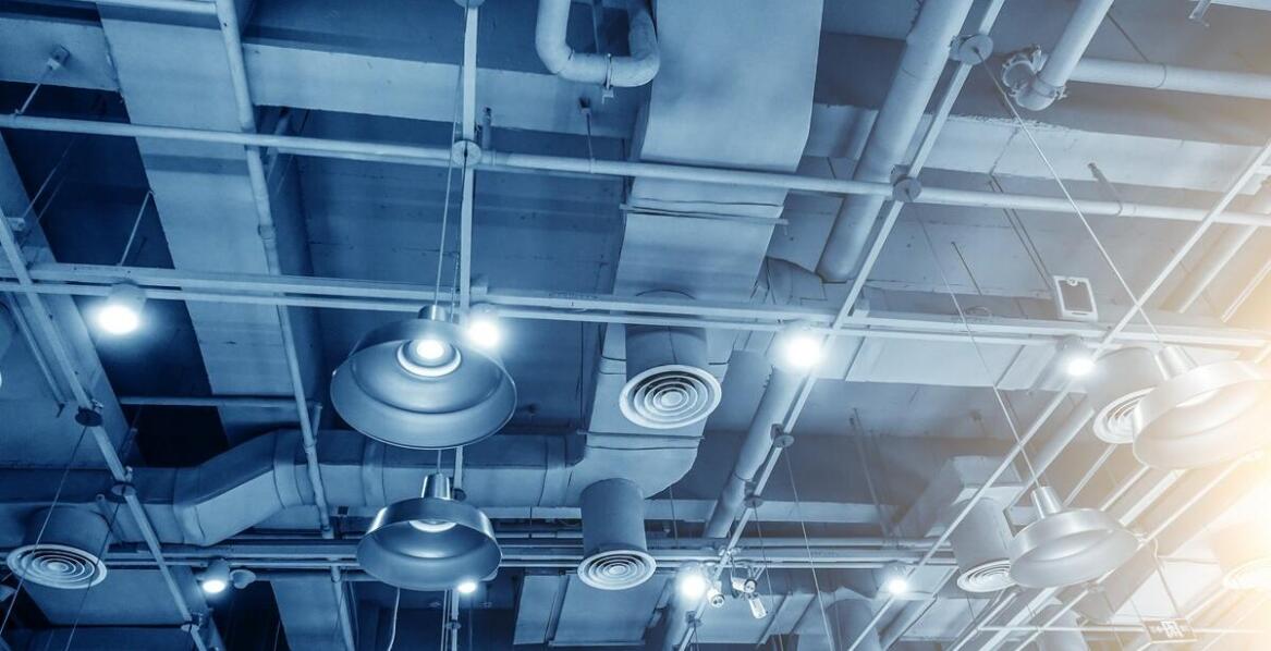 Projektowanie systemów monitoringu szkodników – co warto wiedzieć?