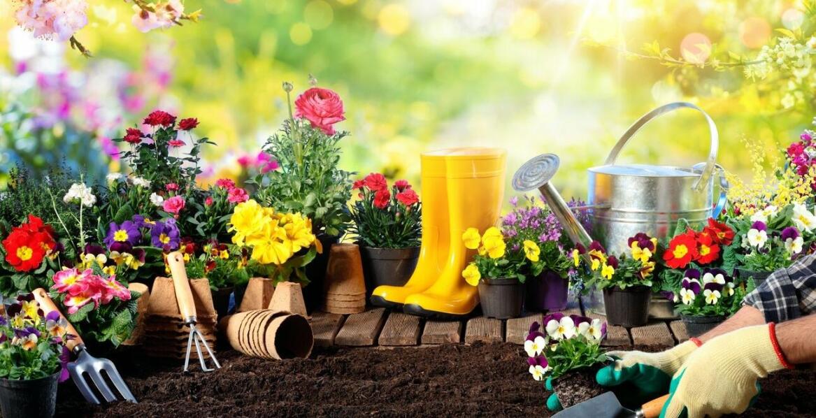 Jak efektywne sprzątanie wspiera proces utrzymania nowoczesnych ogrodów?