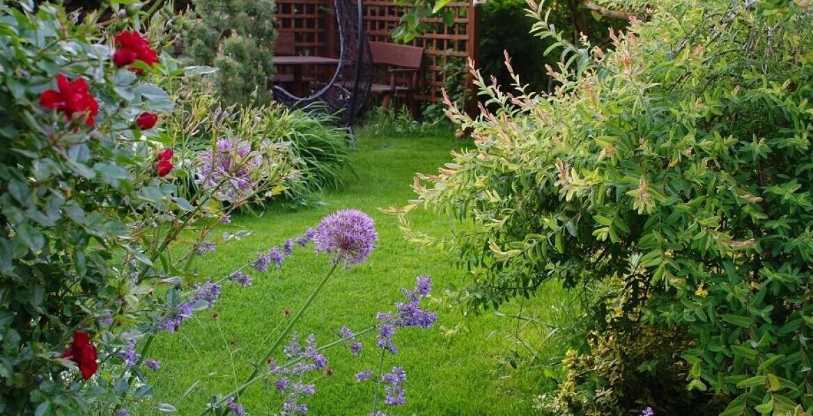 Rola fachowców w projektowaniu funkcjonalnego i estetycznego ogrodu