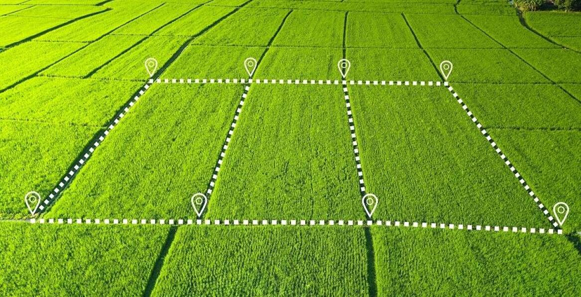 Pełnomocnictwo a kwestie związane z obrotem gruntami