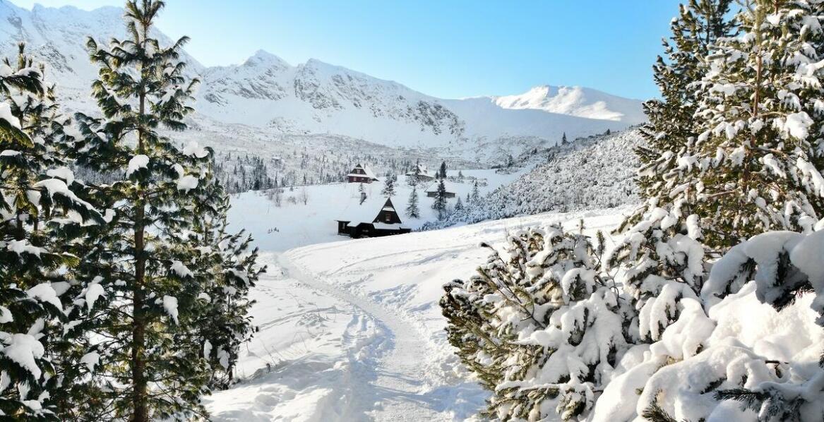 Jakie atrakcje czekają na gości w pobliżu naszych apartamentów?