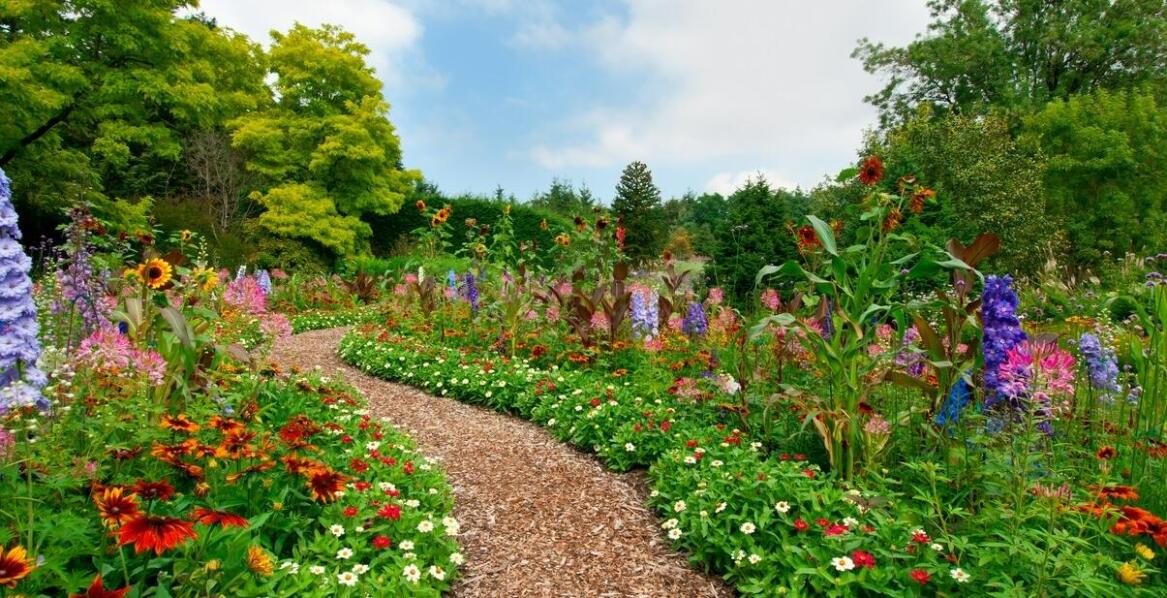 Drzewa ogrodowe ozdobne: jak je odpowiednio zabezpieczyć przed szkodnikami?