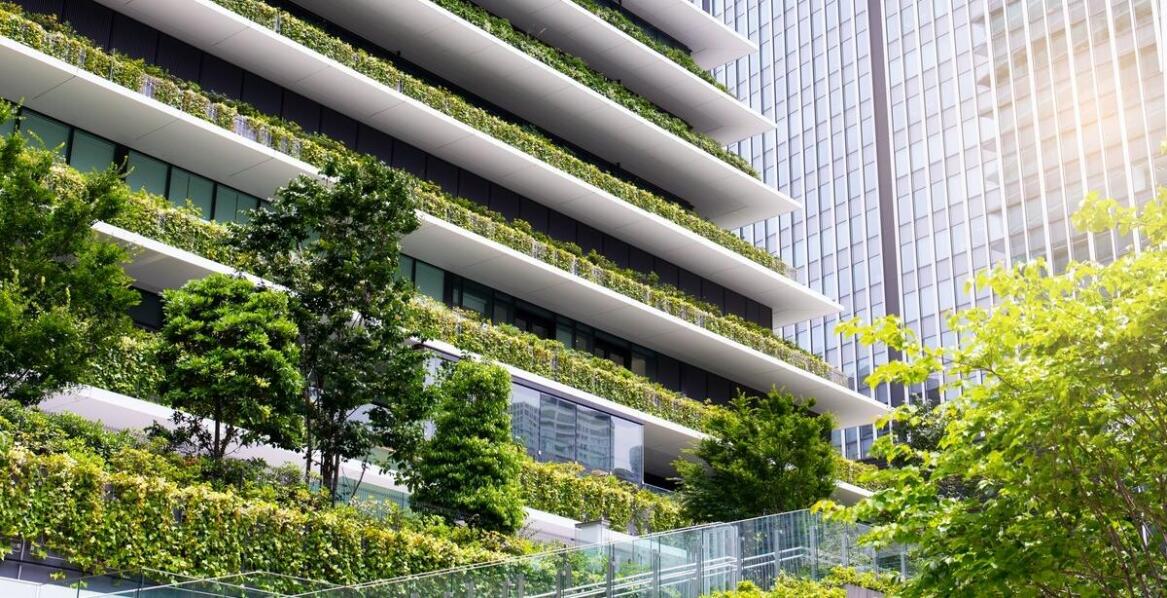 Ekologiczne aspekty ogrodów wertykalnych na balkonach – co musisz wiedzieć?