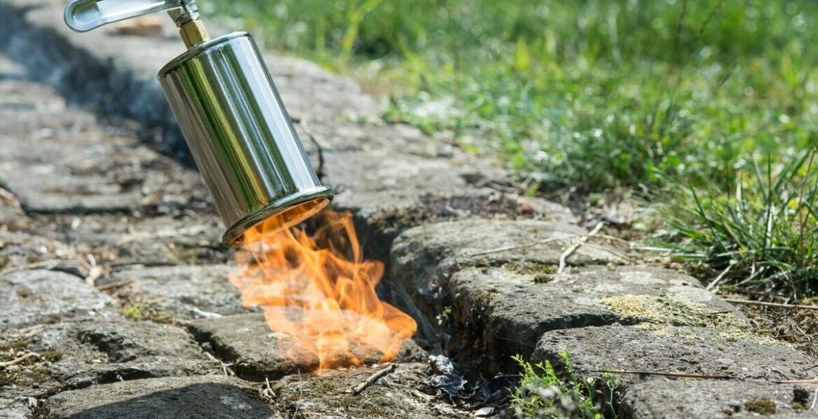 Jakie są najnowsze osiągnięcia technologiczne w uszczelnianiu zapory czarne?