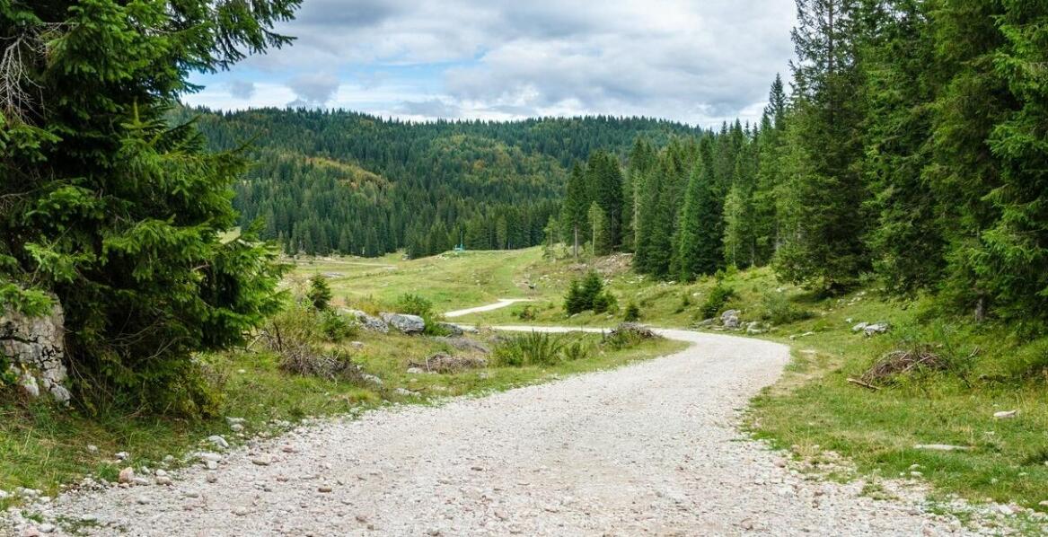 Najlepsze trasy trekkingowe na Maderze dla początkujących i zaawansowanych