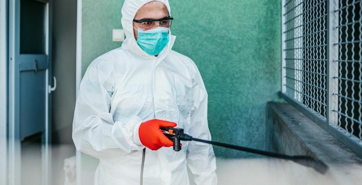 Dlaczego warto zainwestować w profesjonalną deratyzację w obiektach mieszkalnych?