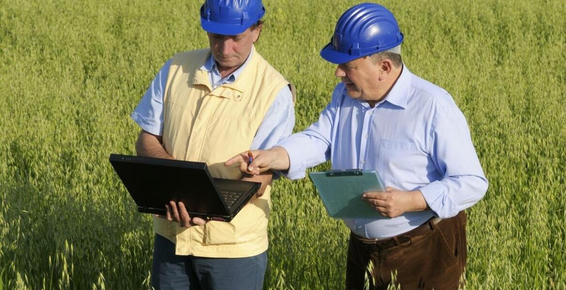 Na czym polega szacowanie szkód łowieckich przez rzeczoznawcę?