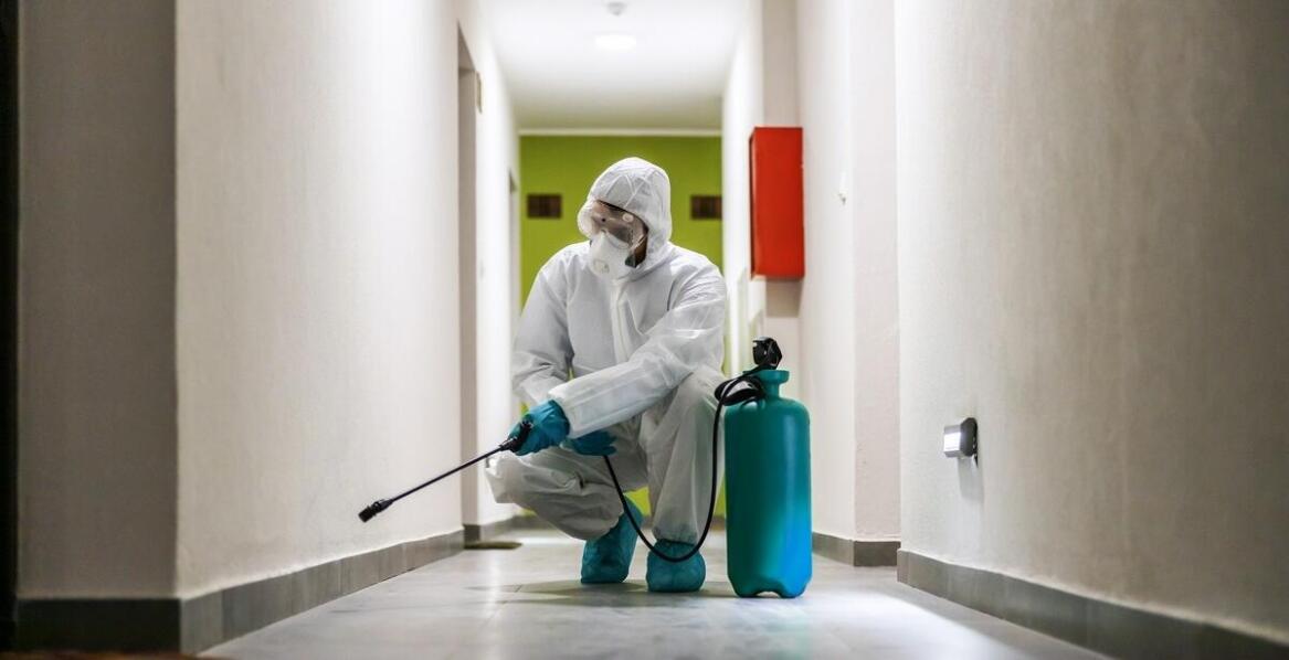 Skuteczna deratyzacja w Pruszkowie – co warto wiedzieć przed zleceniem usługi?