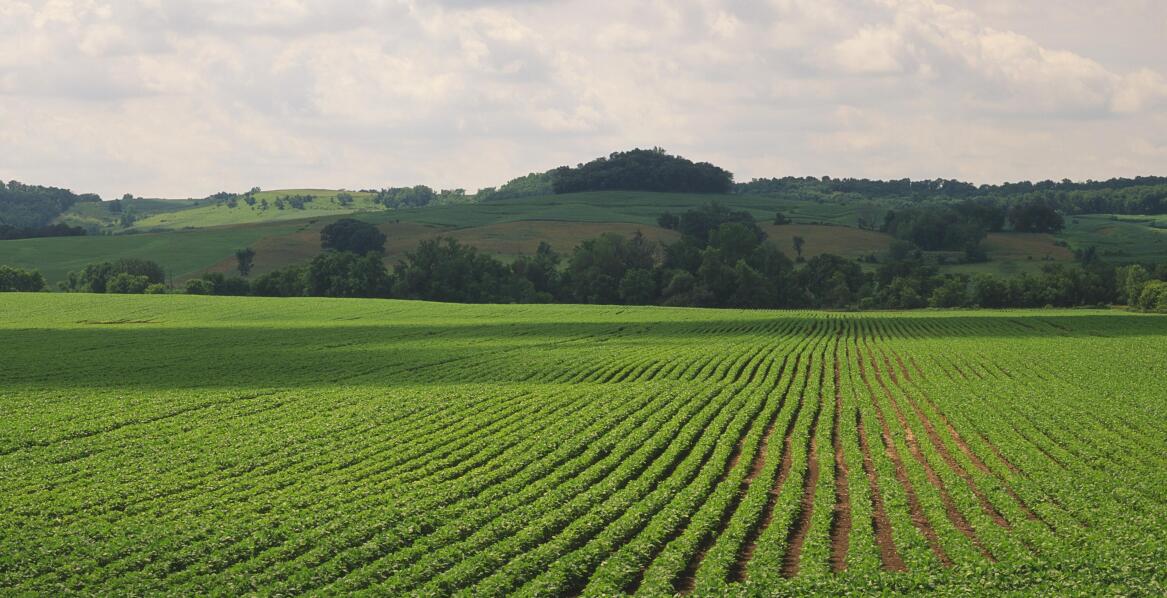 Kluczowe korzyści z inwestycji w drenaż pól uprawnych