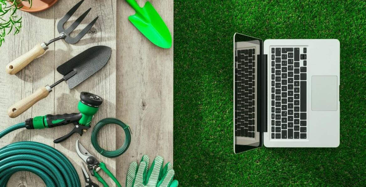 Kosze kwiatowe jako elegancki dodatek do biura – co warto wiedzieć?