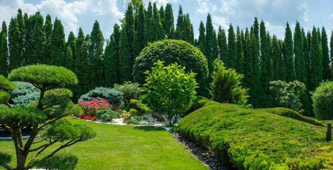 Jakie są najważniejsze zalety profesjonalnego systemu nawadniania?