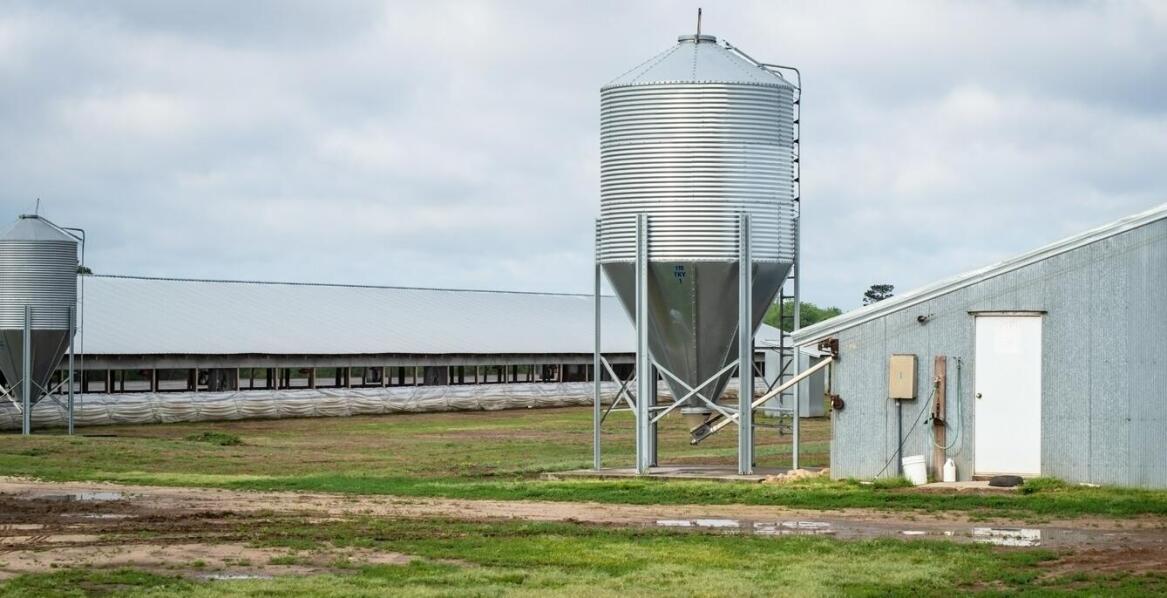 Jakie innowacyjne rozwiązania pojawiają się w produkcji poideł dla koni?