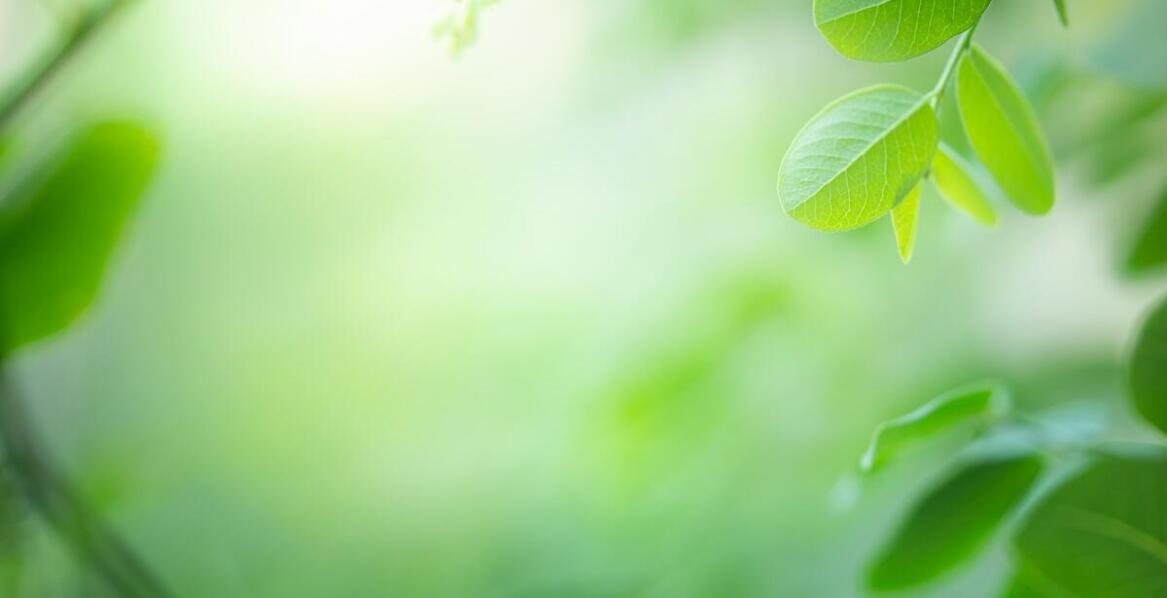 Annona muricata a wsparcie układu odpornościowego