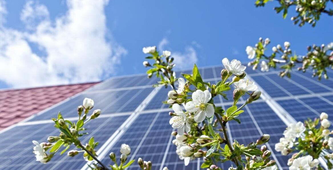 Wpływ instalacji fotowoltaicznych na obniżenie kosztów operacyjnych firm