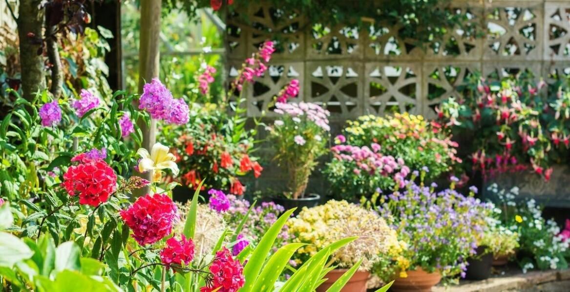 Jak działają pułapki na koty?