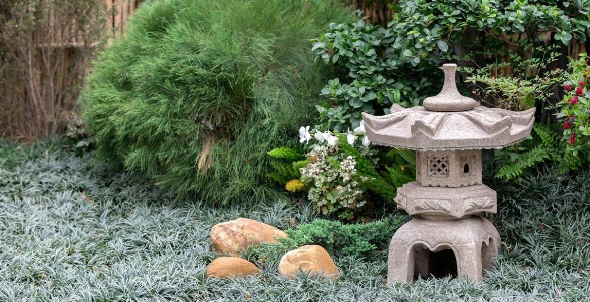 Proso heavy metal – idealny wybór do minimalistycznych ogrodów