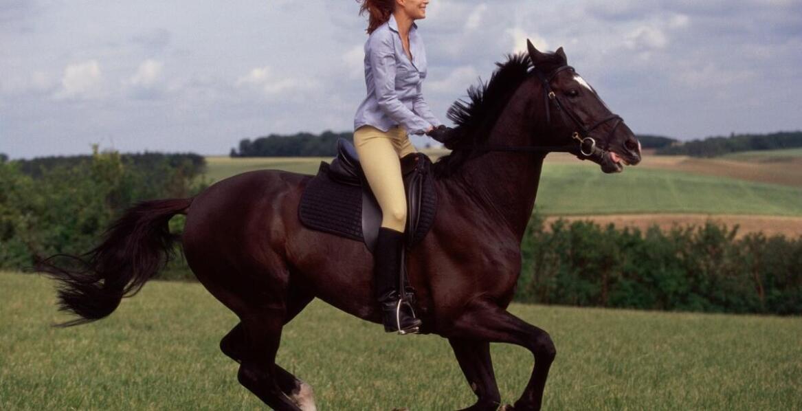 Mata do boksu dla konia - jak wpływa na efektywność treningów jeździeckich?