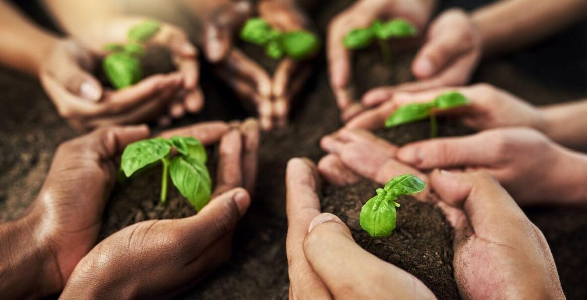 Jak nasza oferta wspiera zrównoważony rozwój dzięki ekologicznym produktom?