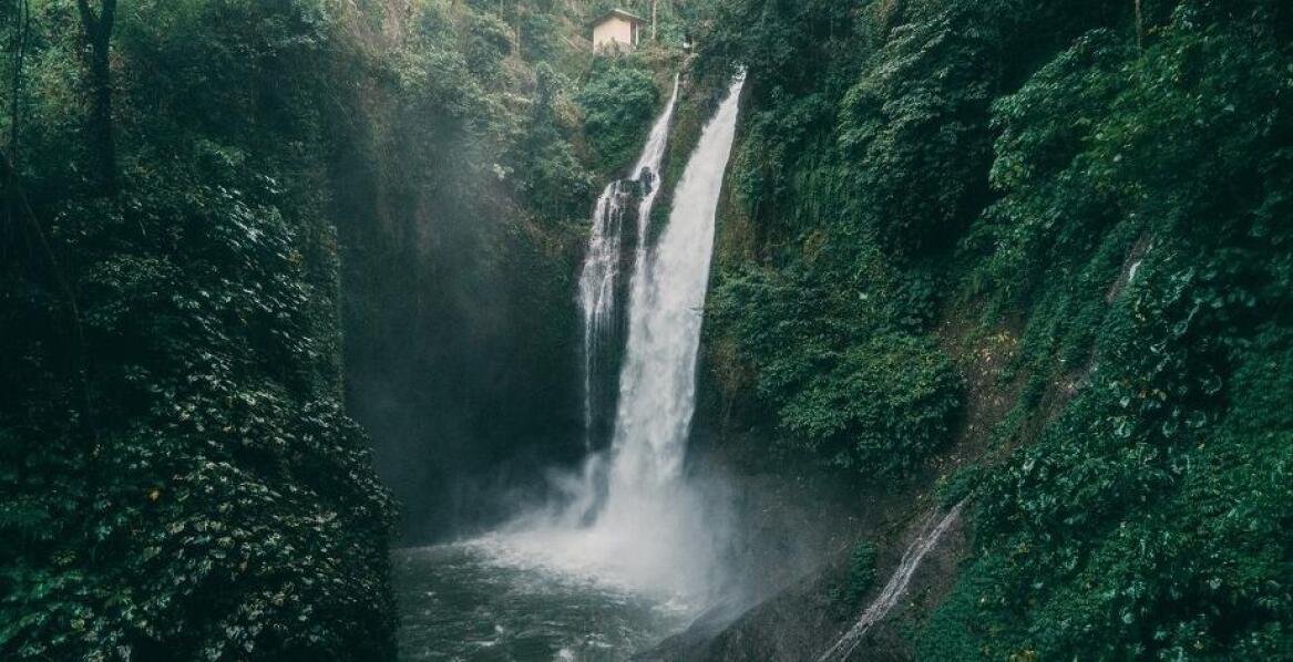 Najwyższy wodospad i jego wpływ na lokalną faunę i florę