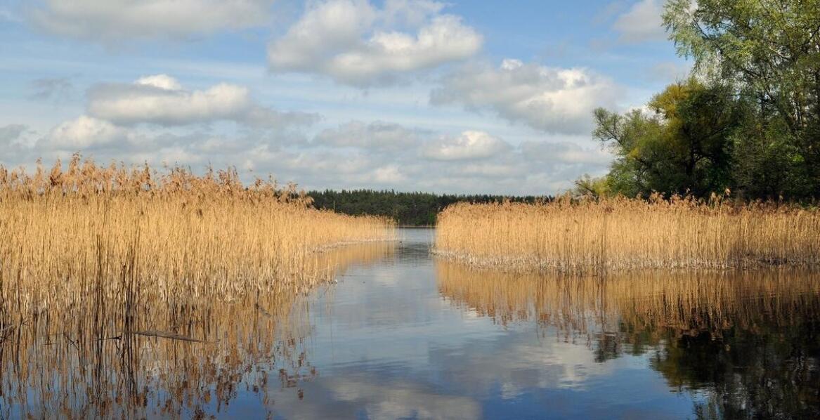 Kopanie stawów a utrzymanie równowagi ekologicznej
