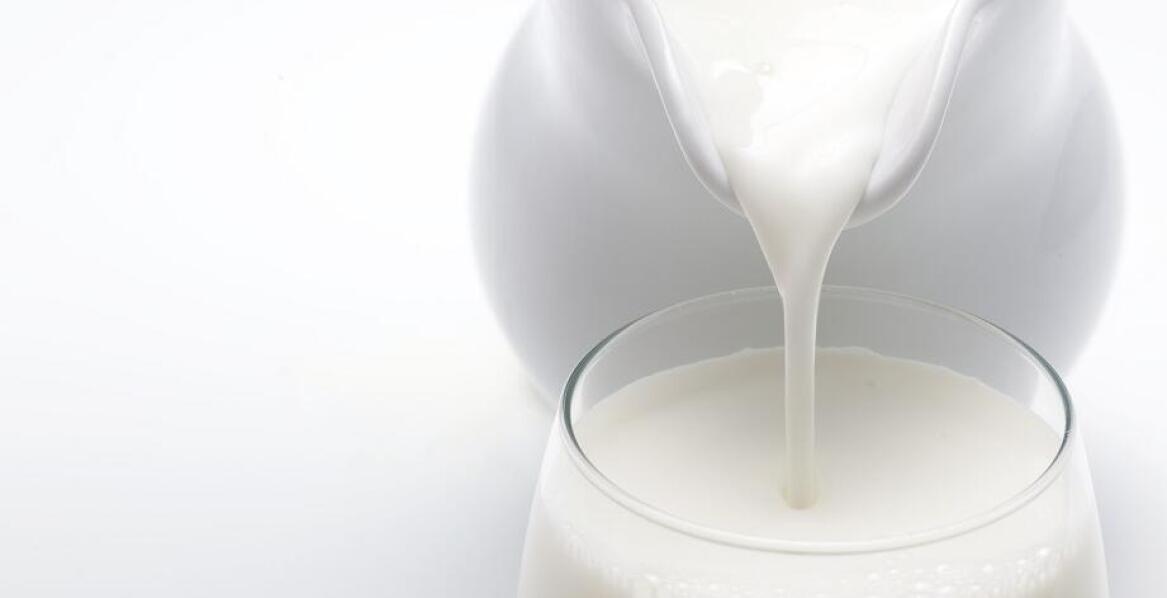 Mleczniki z ceramiki bolesławieckiej – tradycja i unikalne wzornictwo