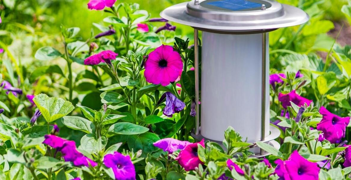 Przewaga inteligentnych systemów nad tradycyjnymi metodami podlewania