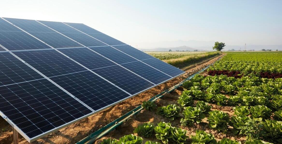 Zastosowanie technologii w produkcji nowoczesnego materiału siewnego