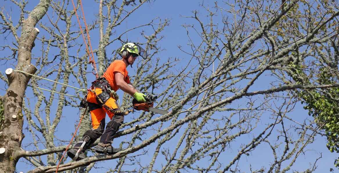 Jak prace wysokościowe wspierają ochronę środowiska w miastach?