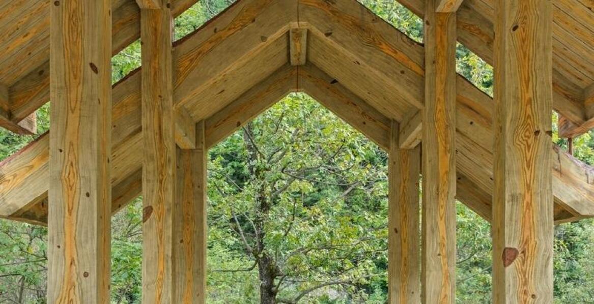 Najlepsze ścieżki w koronach drzew po polskiej i słowackiej stronie Tatr