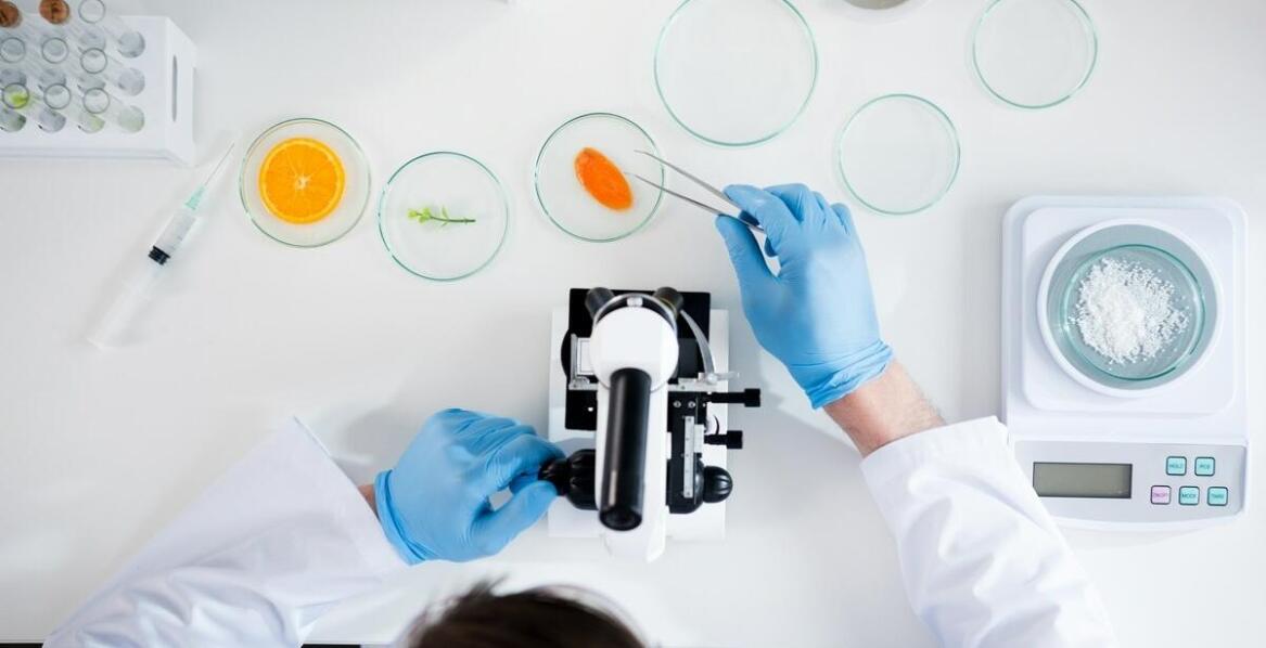 Jakie są objawy obecności pluskiew i jak je skutecznie zwalczać?