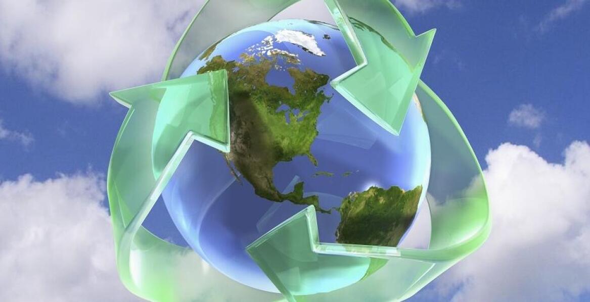 Wpływ szkoleń z zakresu ochrony środowiska na rozwój przedsiębiorstw