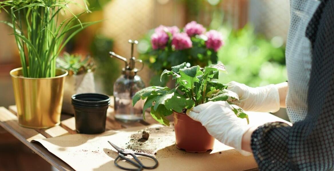 Dlaczego warto zaufać doświadczeniu sklepu z maszynami ogrodniczymi?