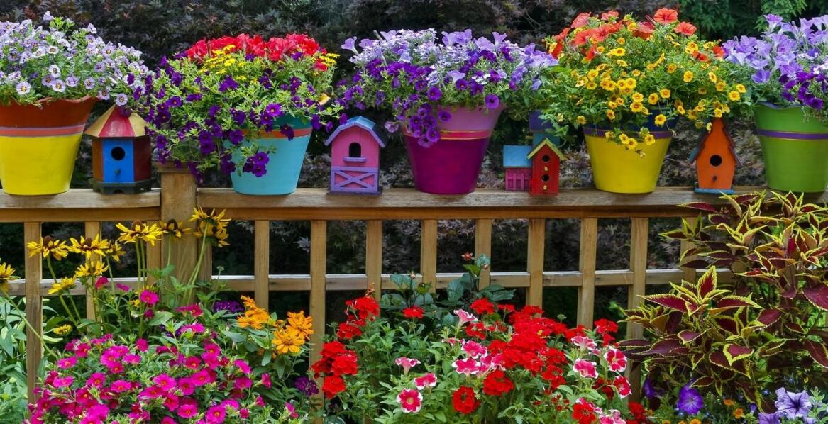 Internetowy sklep ogrodniczy: szeroki wybór różanych odmian dla Twojego ogrodu