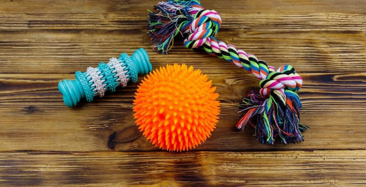 Zestawienie najlepszych naturalnych gryzaków dla yorka – poradnik zakupowy